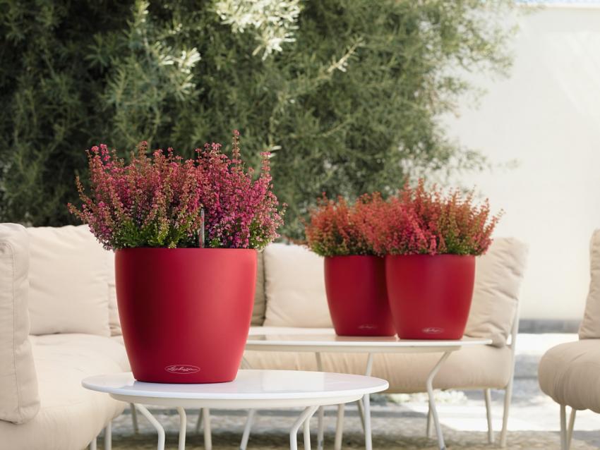 Chậu hoa bằng nhựa nhẹ hơn bê tông Chậu hoa bằng nhựa nhẹ hơn bê tông