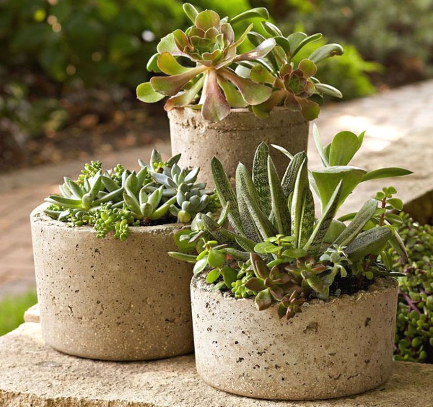 Tự làm chậu hoa bằng bê tông Tự làm chậu hoa bằng bê tông