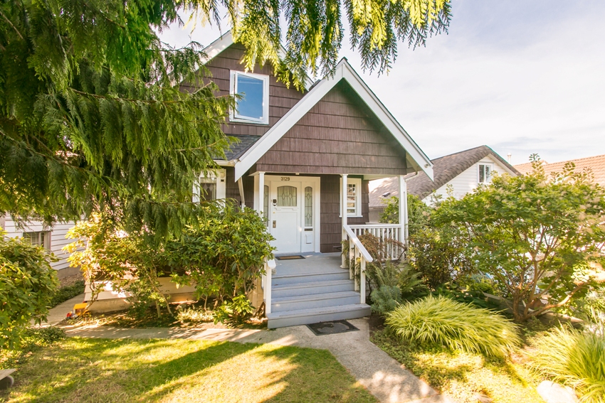 Teren wokół domu zdobią drzewa i krzewy Teren wokół domu zdobią drzewa i krzewy