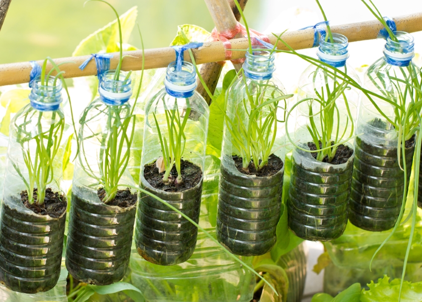 Anda boleh membuat banyak hiasan asli dari botol. Anda boleh membuat banyak hiasan asli dari botol.