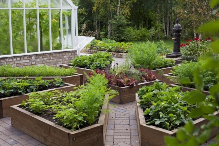 Et eksempel på fransk placering af høje senge i haven Et eksempel på fransk placering af høje senge i haven