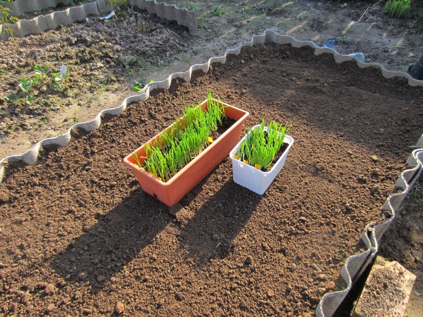 Skifer er et holdbart og samtidig skrøbeligt materiale, så du skal være forsigtig, når du arbejder med værktøj Skifer er et slidstærkt og samtidig skrøbeligt materiale, så du skal være forsigtig, når du arbejder med værktøj