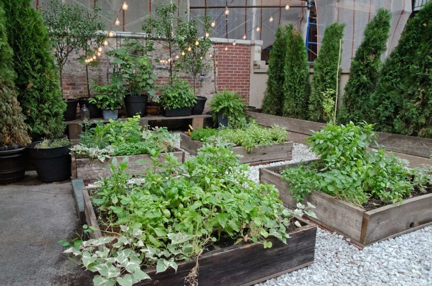 Takket være stierne kan du få adgang til planter fra forskellige retninger uden at træde på jorden Takket være stierne kan du få adgang til planter fra forskellige retninger uden at træde på jorden