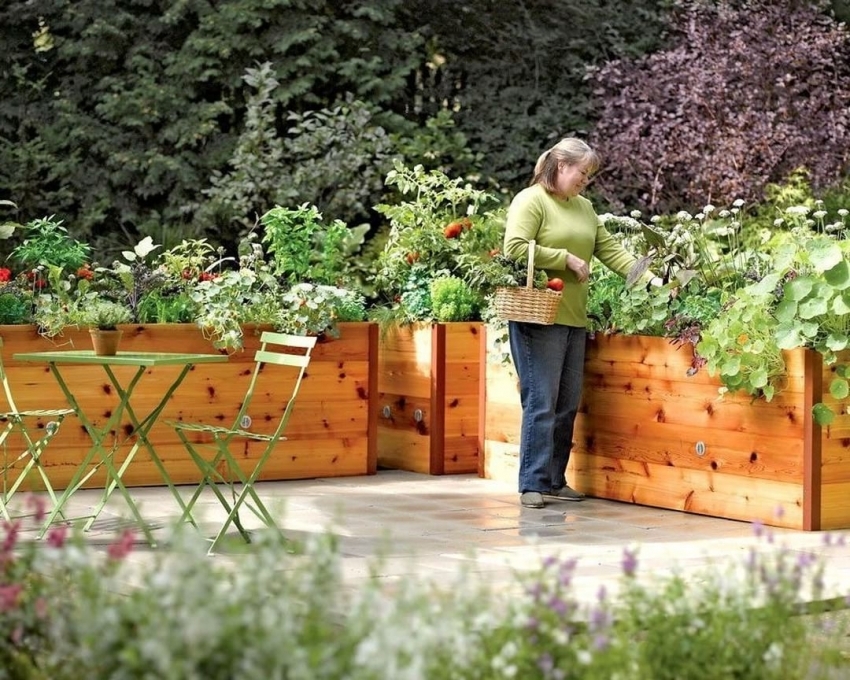 I høje kasser kan du organisere varme senge, der adskiller sig ved tidligere opvarmning af jorden I høje kasser kan du organisere varme senge, der adskiller sig ved tidligere opvarmning af jorden