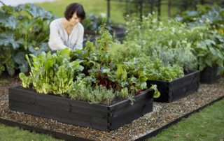 Do-it-yourself-Betten sind nicht wie alle anderen: interessante Ideen für das Country-Design