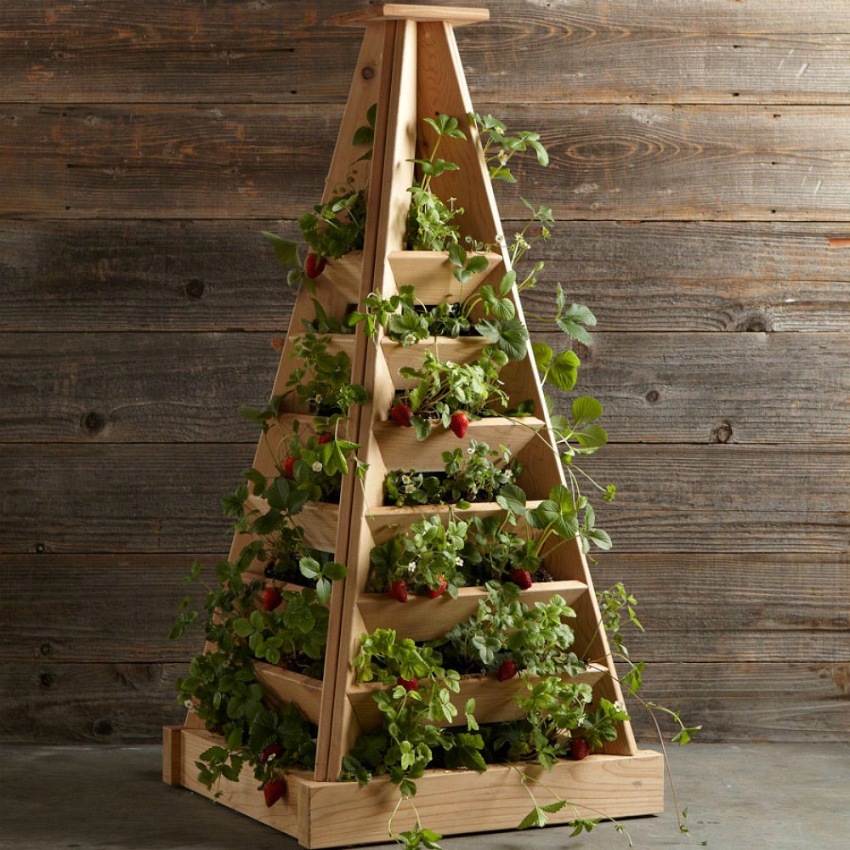 En jordbærpyramide kan købes i specialbutikker eller fremstilles af dig selv En jordbærpyramide kan købes i specialbutikker eller fremstilles af dig selv