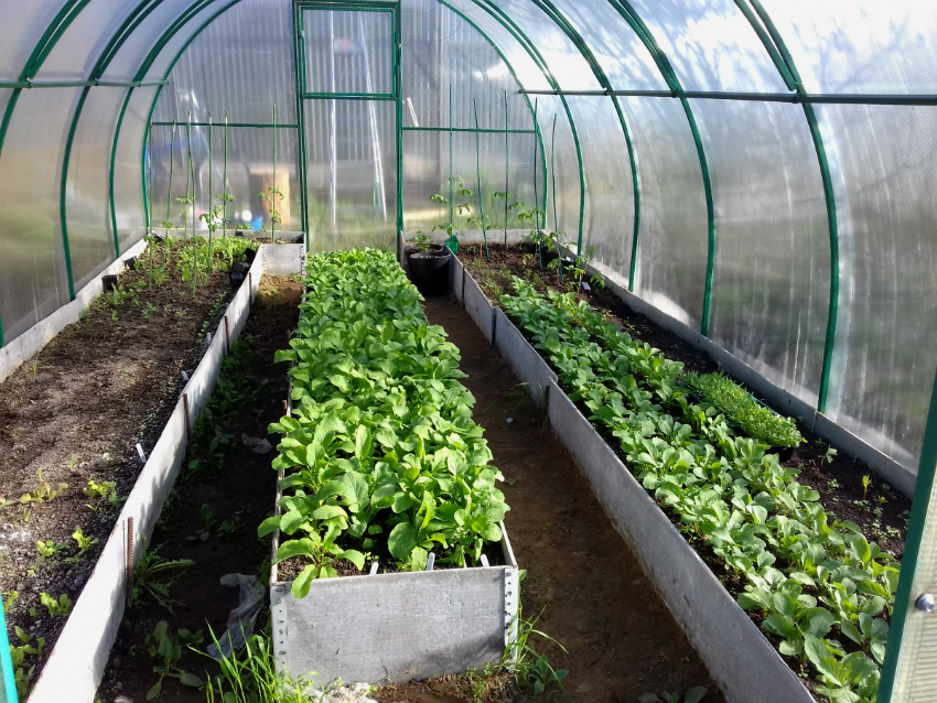 Skifer til opretning af senge kan købes i form af færdige ark Skifer til opretning af senge kan købes i form af færdige ark