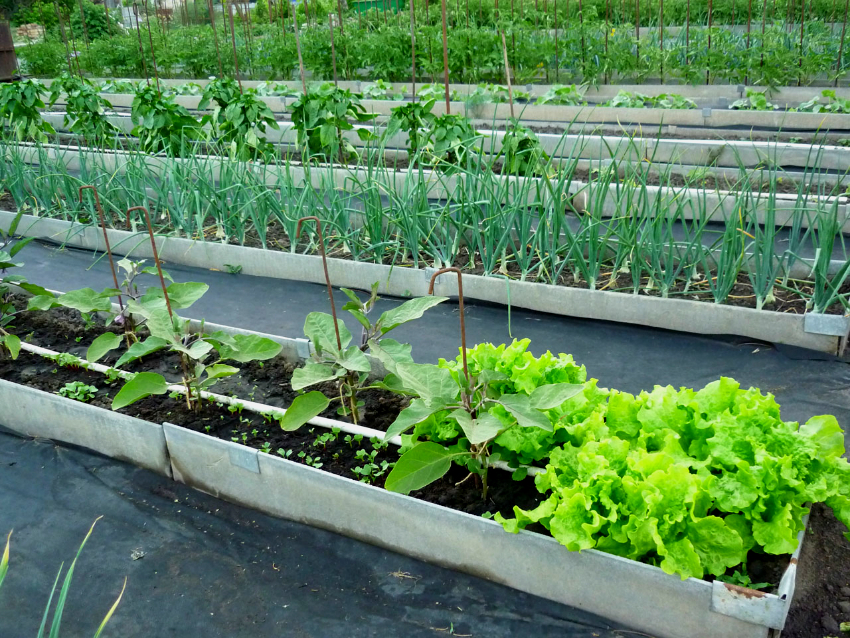 Pæne senge lavet af skiferester Pæne senge lavet af skiferester