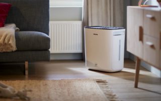 Йонизатор на въздуха: всичко за работата и характеристиките на използването на устройството