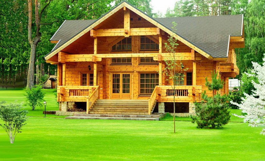 בתי עץ נראים נחמדים מאוד, נוחים ונעימים בתי עץ נראים נחמדים מאוד, נוחים ונעימים