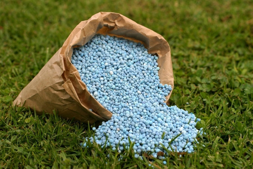 Традиционният метод за обработка на почвата изисква ежегодно внасяне на химически торове, което се отразява негативно на качеството на реколтата. Традиционният метод за обработка на почвата изисква ежегодно внасяне на химически торове, което се отразява негативно на качеството на реколтата.