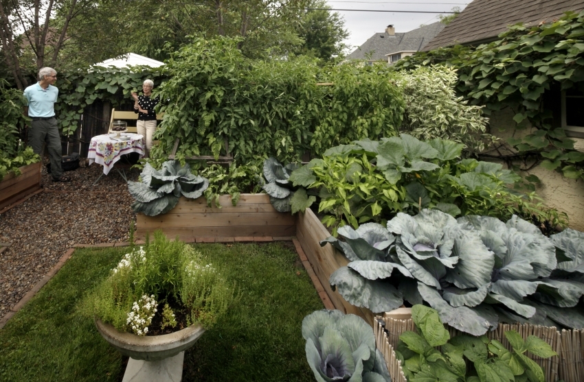 Екологичното земеделие е модерна индустрия в съвременното земеделие Екологичното земеделие е модерна индустрия в съвременното земеделие