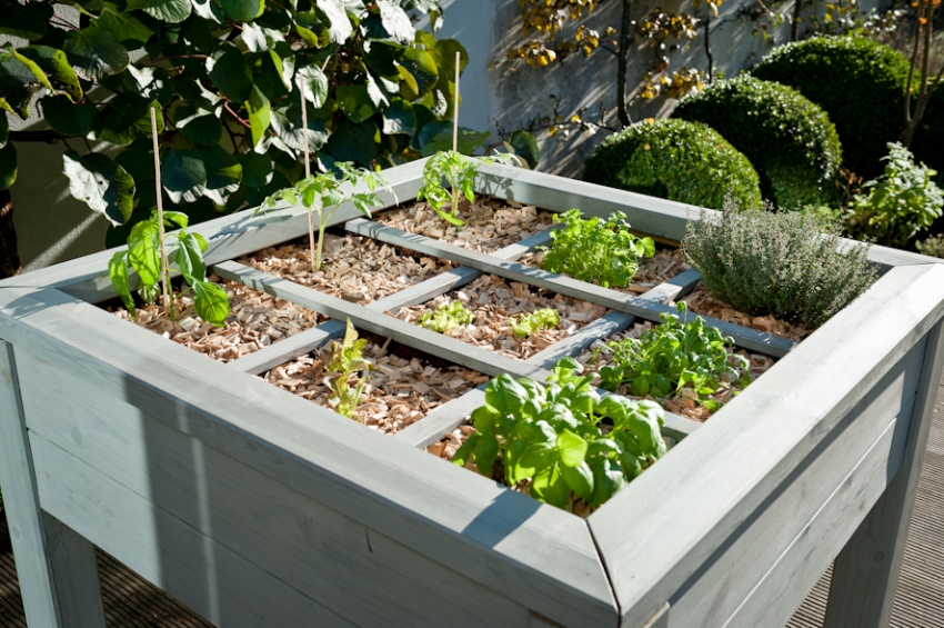 Пример за един от методите за зониране на площта на градината за различни растения Пример за един от методите за зониране на площта на градината за различни растения