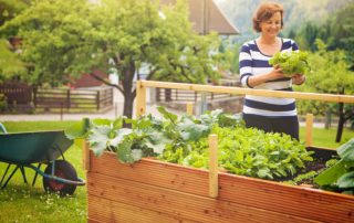 Κάντε όμορφα κρεβάτια κήπου στη χώρα: παραδείγματα φωτογραφιών και ασυνήθιστες λύσεις