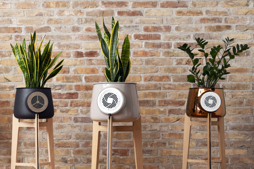 Naturlig luftrenser med elektronisk kontroll og vifte Naturlig luftrenser med elektronisk kontroll og vifte