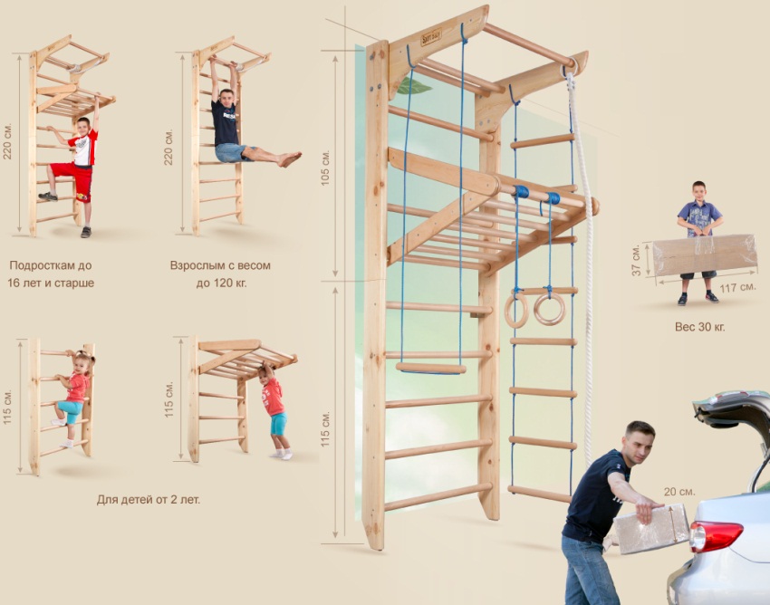 המידות המשוערות של סורגי הקיר לקבוצות גיל שונות המידות המשוערות של סורגי הקיר לקבוצות גיל שונות