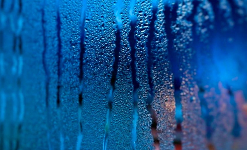 При висока влажност в помещението се появяват плесен и влага При висока влажност в помещението се появяват плесен и влага