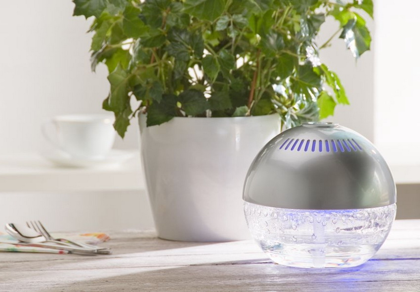 Съветите на листата на растенията, които започват да изсъхват, ще ви кажат, че въздухът в апартамента е сух Съветите на листата на растенията, които започват да изсъхват, ще ви кажат, че въздухът в апартамента е сух