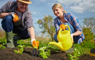 Senger for late: bilder og anbefalinger for å lage en hage