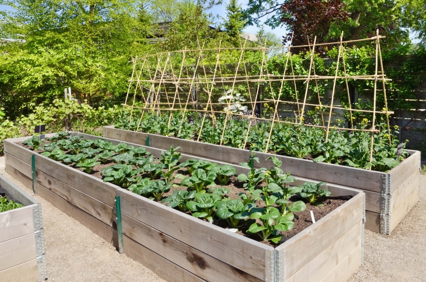 For å unngå å vaske ut av jord fra høye senger, er det nødvendig å være spesielt oppmerksom på skjøtene når du monterer boksen For å unngå å vaske ut av jord fra høye senger, er det nødvendig å være spesielt oppmerksom på skjøtene når du monterer boksen