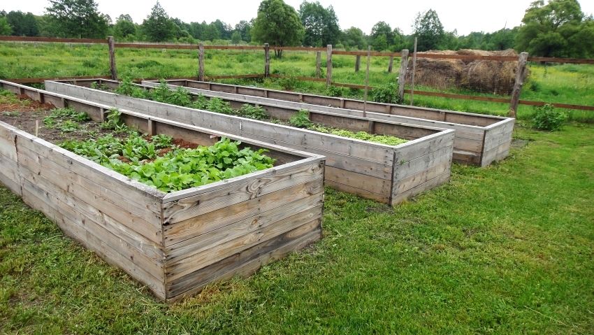 Lange senger laget av tre bør forsterkes flere steder for å unngå deformasjon. Lange senger laget av tre bør forsterkes flere steder for å unngå deformasjon.