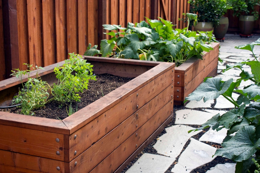 Når du planter planter, er det nødvendig å ta hensyn til den optimale mengden lys og varme for visse avlinger, siden jo høyere sengen er, desto raskere blir den oppvarmet Når du planter planter, er det nødvendig å ta hensyn til den optimale mengden lys og varme for visse avlinger, siden jo høyere sengen er, desto raskere blir den oppvarmet