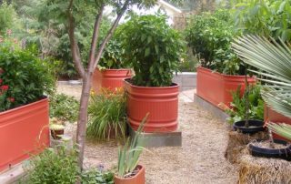 Betten aus polymerbeschichtetem Metall: Merkmale und Arten von Strukturen