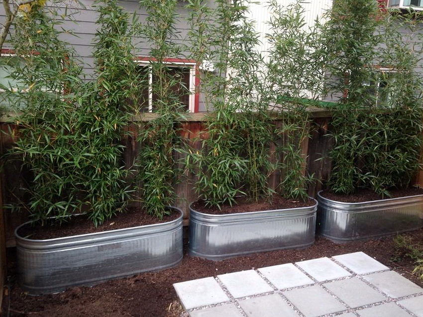 За да инсталирате метални легла, струва си да изберете място, което не е твърде осветено, за да се избегне смъртта на растенията от прегряване За да инсталирате метални легла, струва си да изберете място, което не е твърде осветено, за да се избегне смъртта на растенията от прегряване