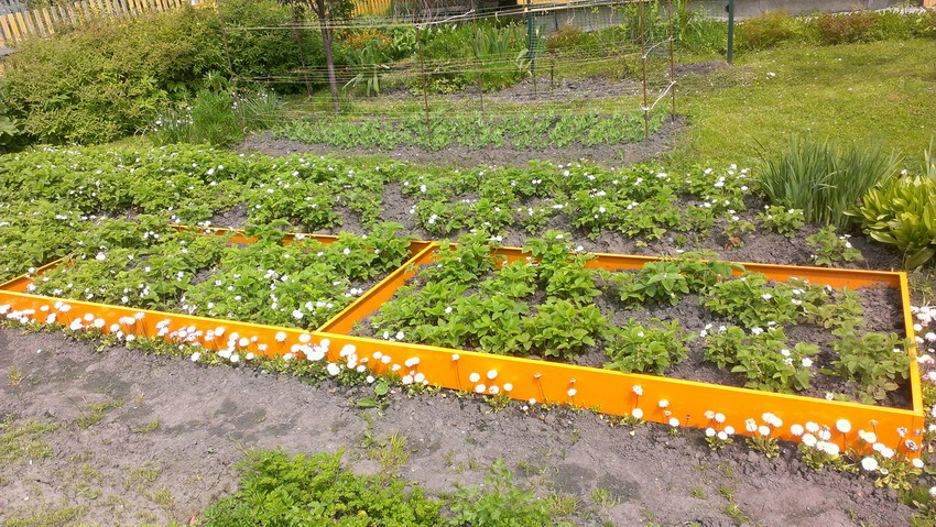 Поцинкованите стоманени легла понякога са покрити с допълнителен защитен полимерен слой Поцинкованите стоманени легла понякога са покрити с допълнителен защитен полимерен слой