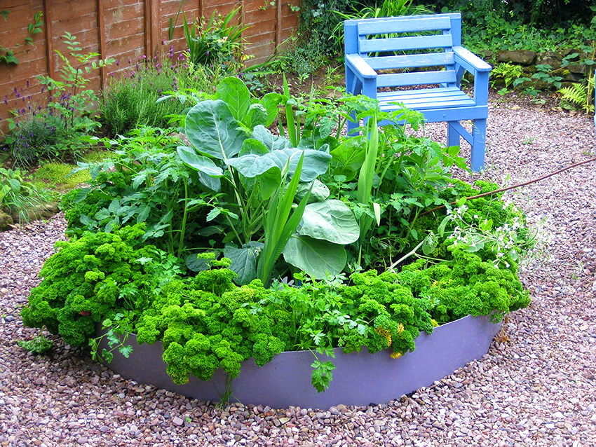 With the help of plastic, you can create a wide variety of shapes of beds With the help of plastic, you can create a wide variety of shapes of beds