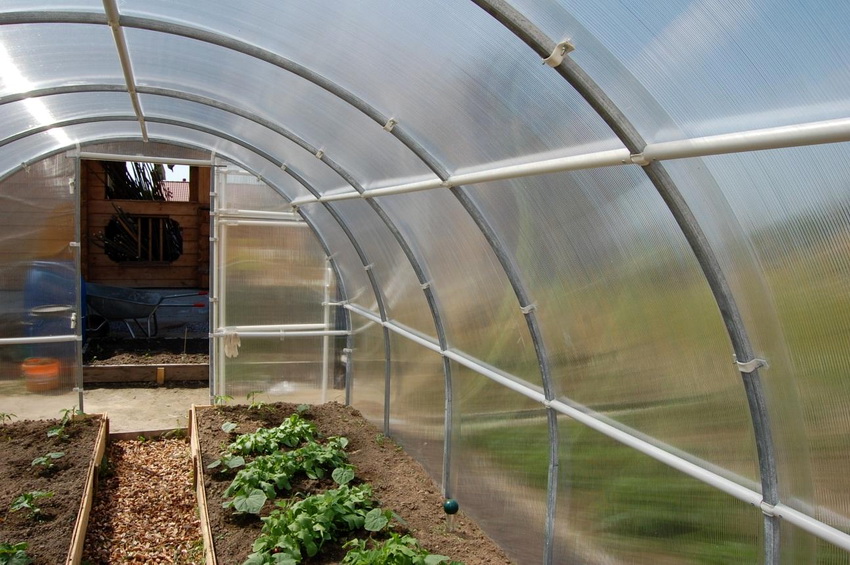 Kunststoffbögen für ein Gewächshaus sind eine der wirtschaftlichsten Möglichkeiten, einen Rahmen zu erstellen Kunststoffbögen für ein Gewächshaus sind eine der wirtschaftlichsten Möglichkeiten, einen Rahmen zu erstellen