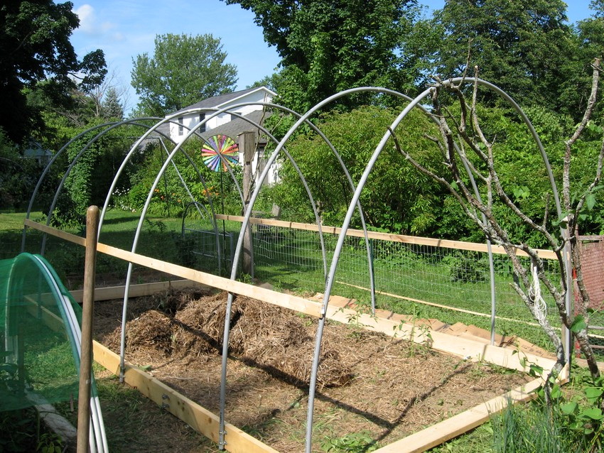 Metallbögen als Rahmen für ein Gewächshaus können bei richtiger Pflege lange halten Metallbögen als Rahmen für ein Gewächshaus können bei richtiger Pflege lange halten