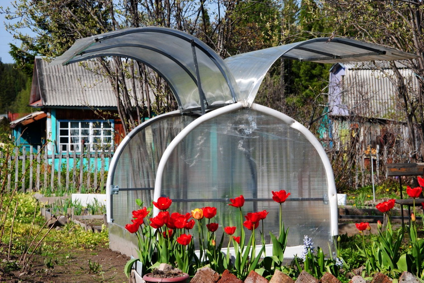 Greenhouse Butterfly hat ein sehr komfortables Cabrio-Design Greenhouse Butterfly hat ein sehr komfortables Cabrio-Design