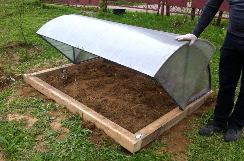 Klaffsidene av drivhuset gir enkel tilgang til planter Klaffsidene av drivhuset gir enkel tilgang til planter