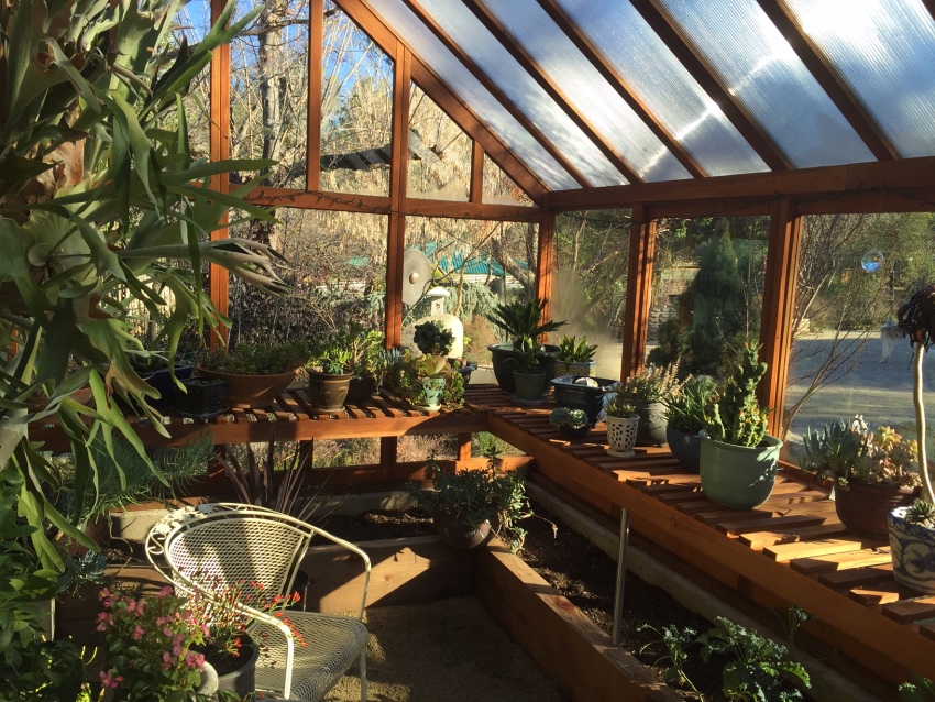 W ciepłe dni zaleca się pozostawienie szklarni otwartej, aby zapewnić roślinom jak najkorzystniejsze warunki. W ciepłe dni zaleca się pozostawienie szklarni otwartej, aby zapewnić roślinom jak najkorzystniejsze warunki.