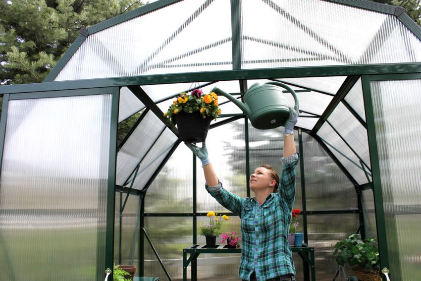 Zastosowanie w konstrukcji szklarni poliwęglanu o różnym stopniu przezroczystości pozwala na stworzenie warunków niezbędnych do uprawy niektórych rodzajów roślin. Zastosowanie w konstrukcji szklarni poliwęglanu o różnym stopniu przezroczystości pozwala na stworzenie warunków niezbędnych do uprawy niektórych rodzajów roślin.