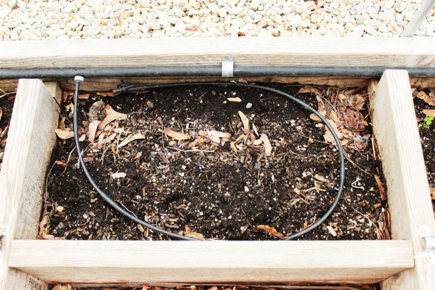 Wenn Sie ein warmes Bett anordnen, können Sie ein internes Bewässerungssystem verlegen. In diesem Fall müssen Sie jedoch auf die Feuchtigkeitsbeständigkeit des Materials achten, aus dem die Box besteht Wenn Sie ein warmes Bett anordnen, können Sie ein internes Bewässerungssystem verlegen. In diesem Fall müssen Sie jedoch auf die Feuchtigkeitsbeständigkeit des Materials achten, aus dem die Box besteht