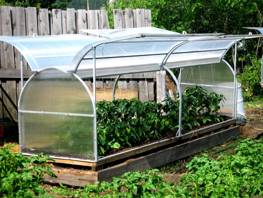 Ein hohes, warmes Bett kann leicht in ein Gewächshaus umgewandelt werden Ein hohes, warmes Bett kann leicht in ein Gewächshaus umgewandelt werden