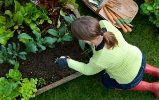 Krok po kroku robienie ciepłych łóżek własnymi rękami na wiosnę: popularne technologie