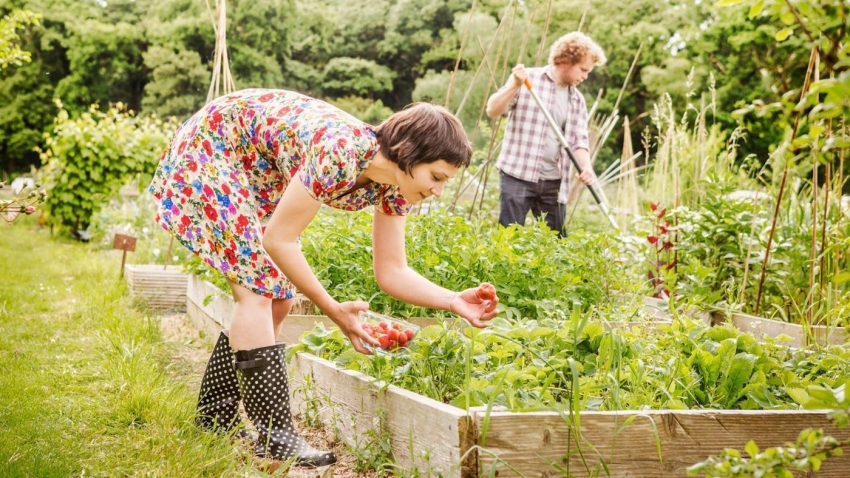 Ein warmes Bett kann sowohl im Frühling als auch im Herbst vorbereitet werden. Ein warmes Bett kann sowohl im Frühling als auch im Herbst vorbereitet werden.