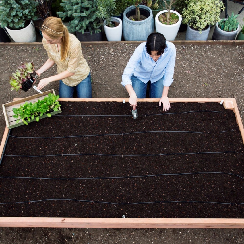 Wenn Sie alle Schichten für ein warmes Bett richtig platzieren, können Sie Pflanzen für mehrere Jahre ein Nährmedium zur Verfügung stellen. Wenn Sie alle Schichten für ein warmes Bett richtig legen, können Sie Pflanzen für mehrere Jahre ein Nährmedium zur Verfügung stellen.