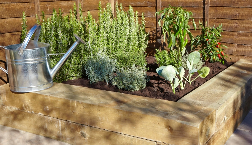 Gemüse und Kräuter, die in hohen, warmen Beeten wachsen, reifen schneller als solche, die auf offenem Boden gepflanzt werden Gemüse und Kräuter, die in hohen, warmen Beeten wachsen, reifen schneller als solche, die auf offenem Boden gepflanzt werden