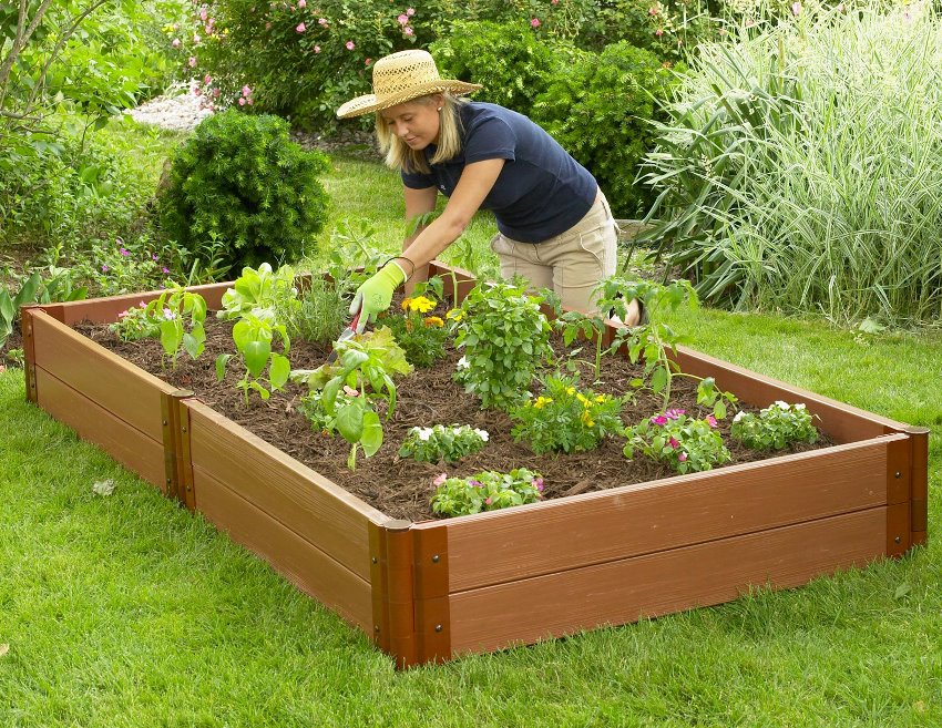 Den hevede sengen kan ordnes hvor som helst på plenen Den hevede sengen kan ordnes hvor som helst på plenen