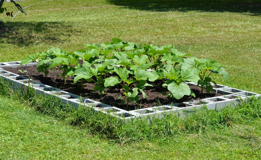 Armerte betongplater kan brukes til å utstyre hevede senger Armerte betongplater kan brukes til å utstyre hevede senger