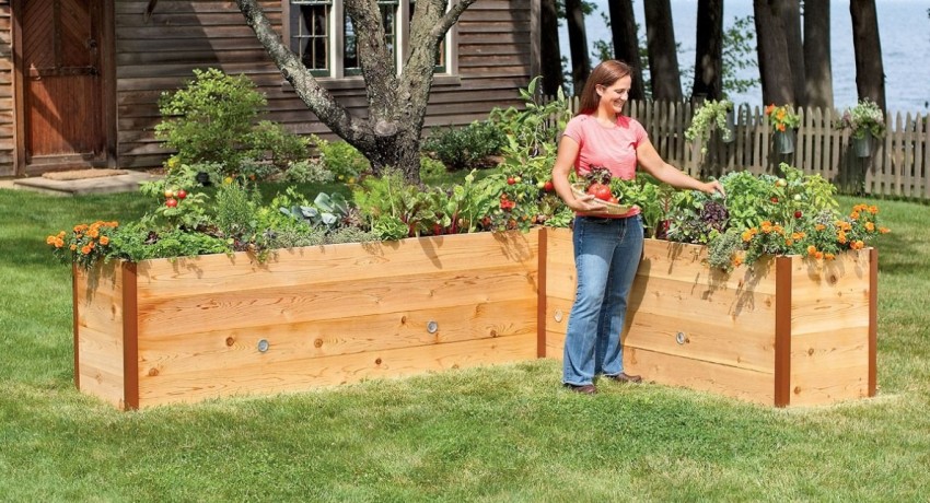 En høy grønnsakshage letter i stor grad stell av sommerhus Høye senger i landet med egne hender: foto- og produksjonsteknologi