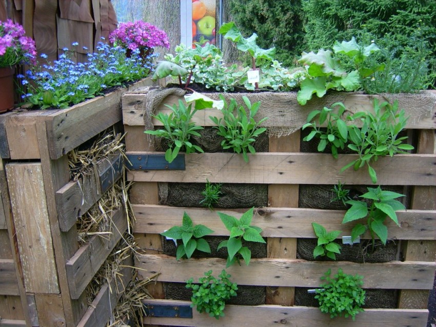 Utmerkede kompakte vertikale senger laget av gamle paller og burlap Utmerkede kompakte vertikale senger laget av gamle paller og burlap