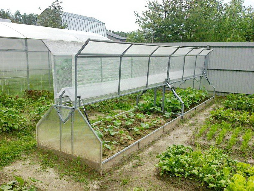 Drivhusets design gør det muligt at placere det i små områder Drivhusets design gør det muligt at placere det i små områder