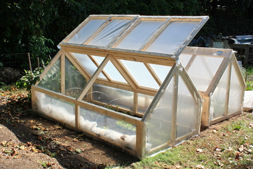 En økonomisk drivhusindstilling - en træramme dækket af polyethylen En økonomisk drivhusindstilling - en træramme dækket af polyethylen