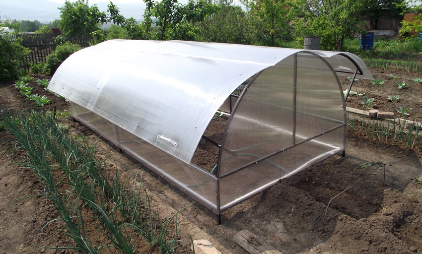 Takket være åbningsdørene er det praktisk at regulere mikroklimaet inde i drivhuset Takket være åbningsdørene er det praktisk at regulere mikroklimaet inde i drivhuset