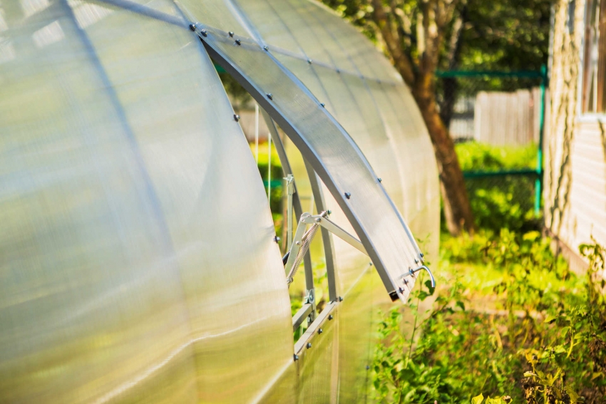 ด้วยการคำนวณที่ถูกต้องการออกแบบเรือนกระจกไม่เพียง แต่รวมถึงช่องระบายอากาศเท่านั้น แต่ยังรวมถึงชั้นวางของต้นไม้ขนาดเล็กด้วย ด้วยการคำนวณที่ถูกต้องการออกแบบเรือนกระจกไม่เพียง แต่รวมถึงช่องระบายอากาศเท่านั้น แต่ยังรวมถึงชั้นวางของต้นไม้ขนาดเล็กด้วย